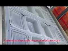 Массовое производство пластиковых одноразовых ящиков для обеда