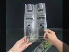 упаковка из растительной раковины