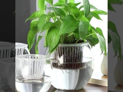 Посадка корзины тепличная корзина