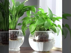 Гидропоническая тепличная садочная корзина