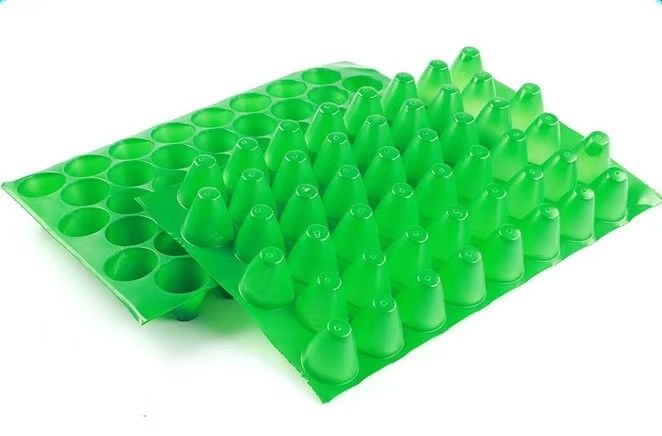 オーダーメイド 48 細胞緑色 PP プラスチック発芽トレイ 丸い 植え 苗木 成長 稲トレイ
