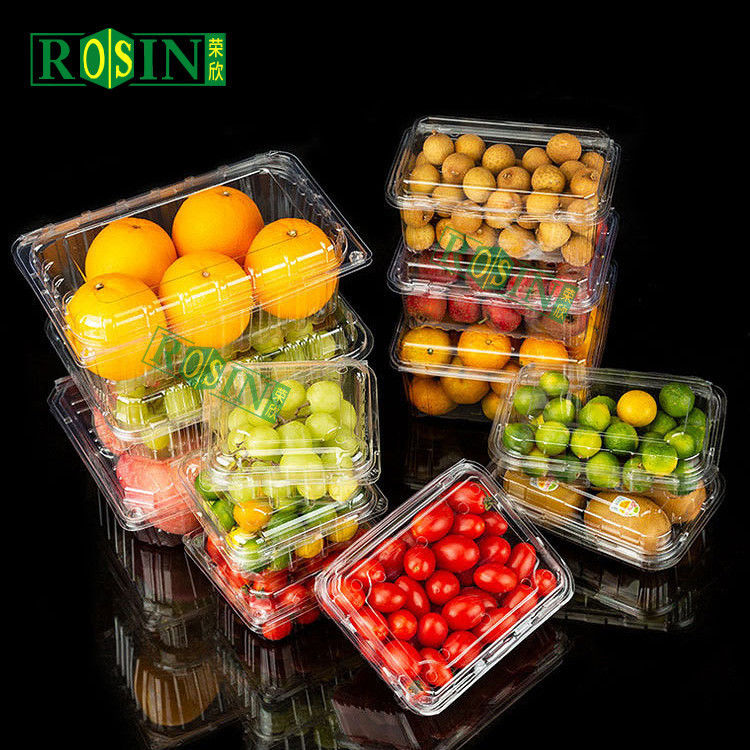 Wholesale Thermoforming Clamshell Plastic Fruit Pet Strawberry Tomato Punnet Clear Disposable Fruit Vegetable Salad Container No Hole