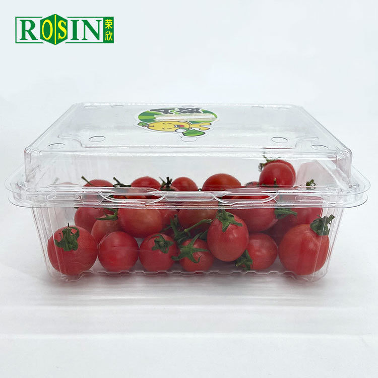 Disposable Clear PET Clamshell Hinged Lid Container Packing Supermarket Plastic Blister Fruit Salad Box With Holes