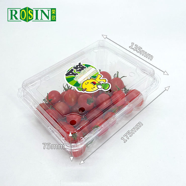 Disposable Clear PET Clamshell Hinged Lid Container Packing Supermarket Plastic Blister Fruit Salad Box With Holes