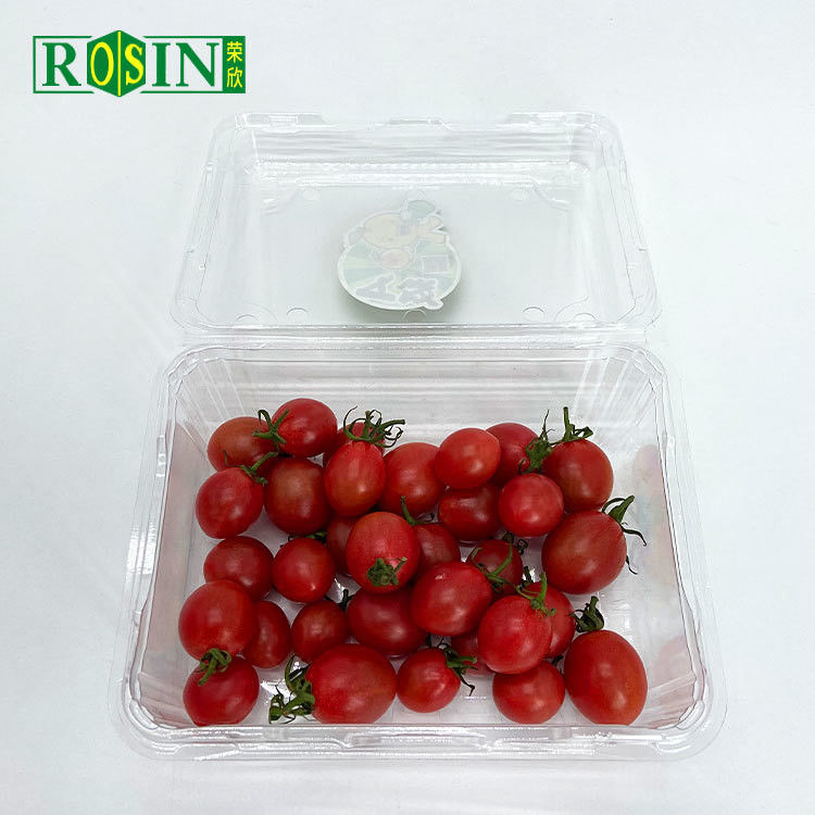 Disposable Clear PET Clamshell Hinged Lid Container Packing Supermarket Plastic Blister Fruit Salad Box With Holes