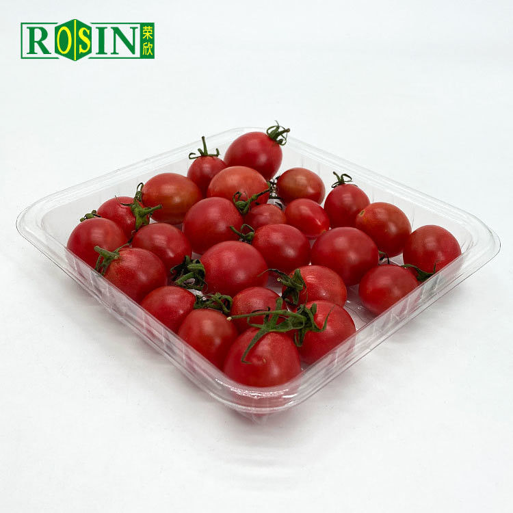 PP Corn Starch Disposable Fresh Meat Chicken Fruit Vegetable Container Plastic Frozen Food Packing Tray