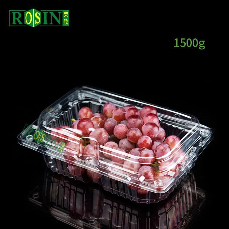 Wholesale Thermoforming Clamshell Plastic Fruit Pet Strawberry Tomato Punnet Clear Disposable Fruit Vegetable Salad Container No Hole