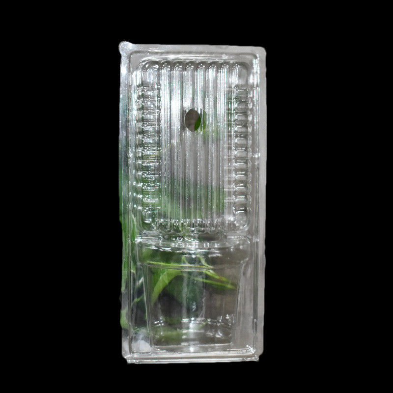 Custom Transparent Plastic Disposable Clamshell Flower Seedlings Transport Blister Pack For Flower Green Plants
