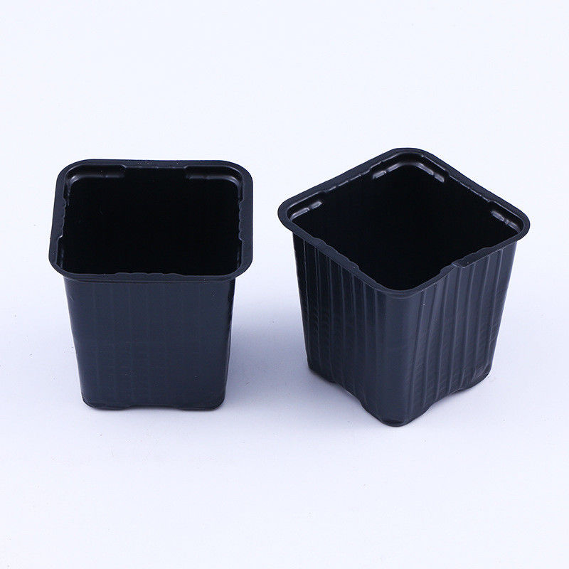 Customized Square Vacuum Formed Black PP PS Plastic Plant Planting Pot Basin Transplanting Garden Maintenance Tray