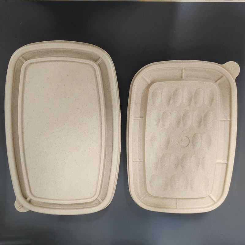 800ml Disposable Rice Husk Fiber Pulp Takeaway Box Environmentally Friendly Multi-Chamber Food Container with Lid