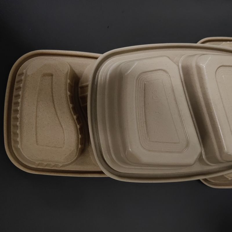 800ml Disposable Rice Husk Fiber Pulp Takeaway Box Environmentally Friendly Multi-Chamber Food Container with Lid