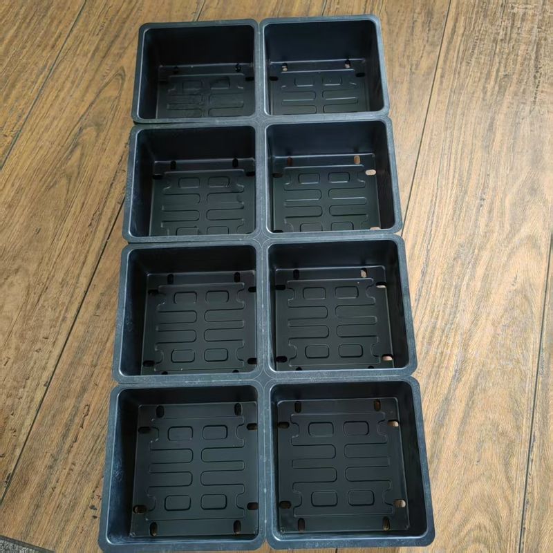 Δίσκος σποράς φυτωρίου PS Microgreen Γεωργία Πλαστικοί δίσκοι σποράς 8 κυψελών μαύρος Δίσκος λαχανικών γεωργίας
