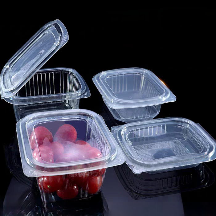 Customized factory disposable transparent vacuum formed rectangular PET plastic hinge clam shell flat lid sauce, fruit and vegetable pudding box