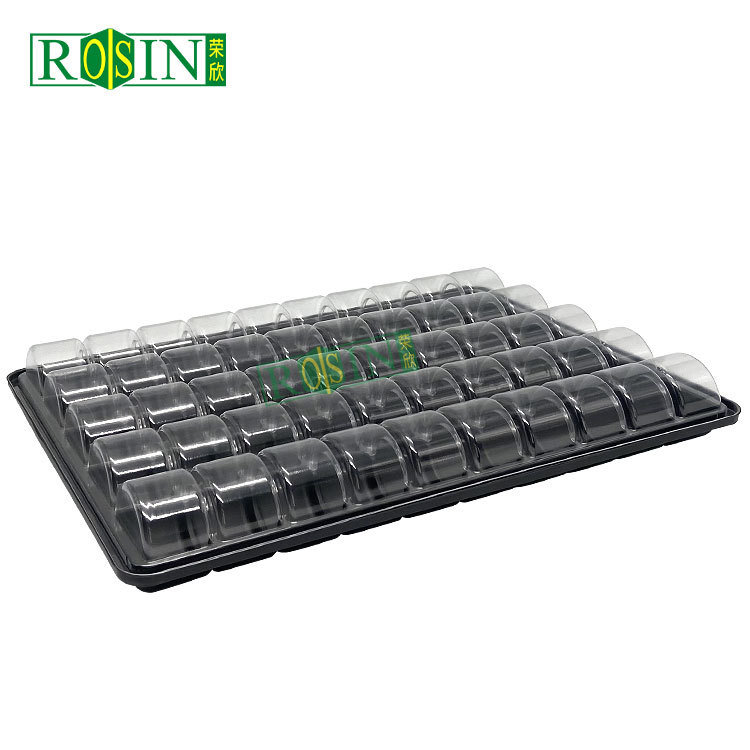 Customized 50 cavity blister plastic PP black macaron container with transparent lid